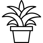 گلدان و سطل
